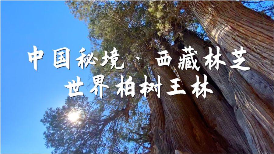 重装突击